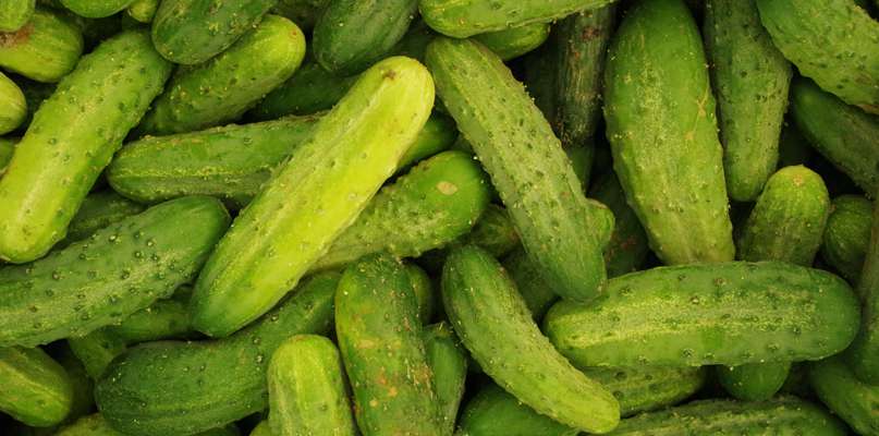 Cornichons Cornichons